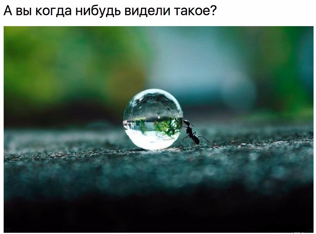 ������� ����