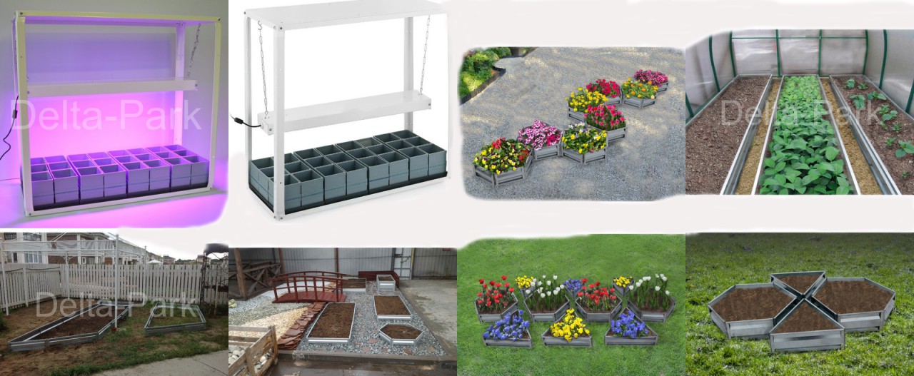 ���� �� 14 ������. �������� ������, ������������ ������, ������, ������ ���  ������� �������� ��������