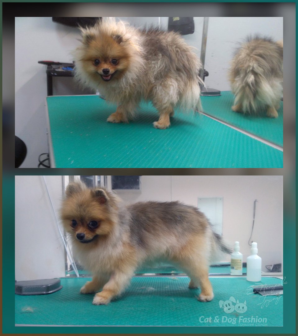 ������ ������� �����-��£���