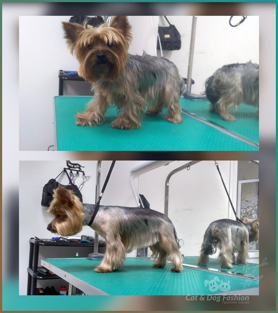 ��� ����� �������� ������ - ���� �����