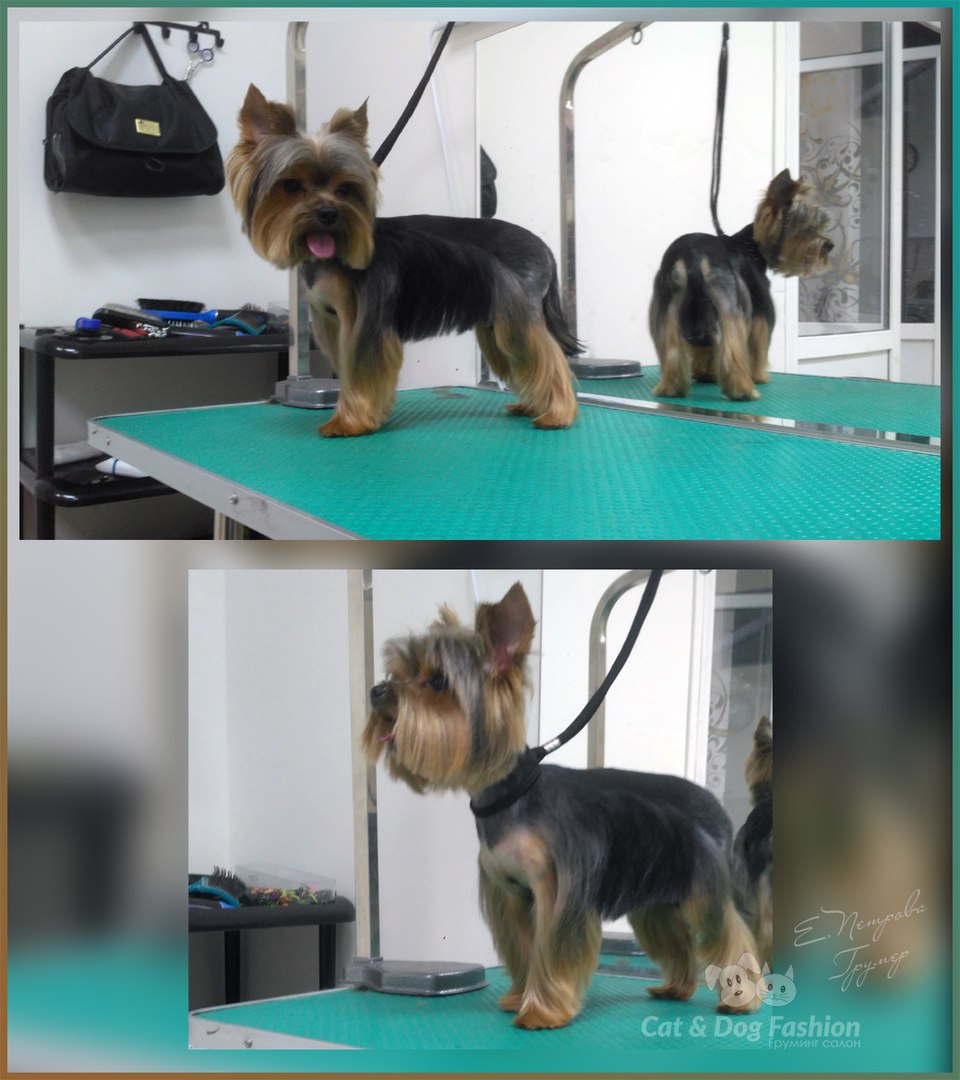 � - ����, ����� ���� �������)))