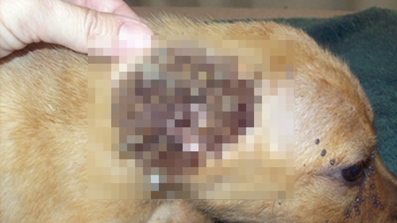 ��� ��� �� ���������� �������, ����� ����� ���������!!!