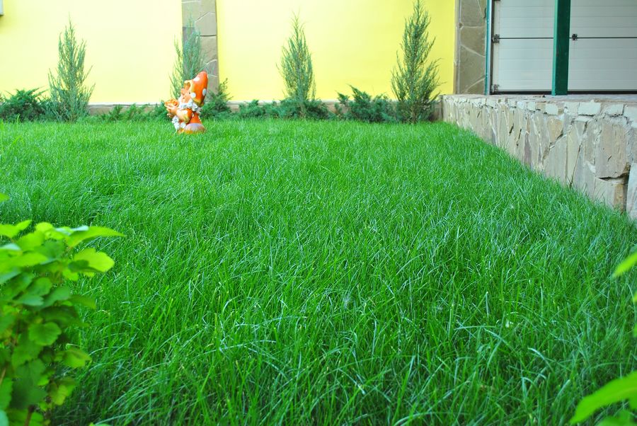 [b]���� �������.����� � ��������, ��������� ��� ������, �������� �� ��������,�������� �� 30 ��,������� �����!!!!����� 1.[/b]