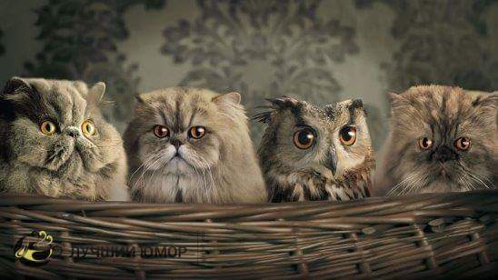 ����� ������, �� ������ �� �����...