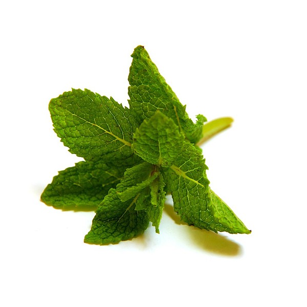 [b]���� �������. ��� - ������, �������� � ��������. ������ ����������� �������� ������������ �����. ������� ������ ������! ���� 28.[/b]