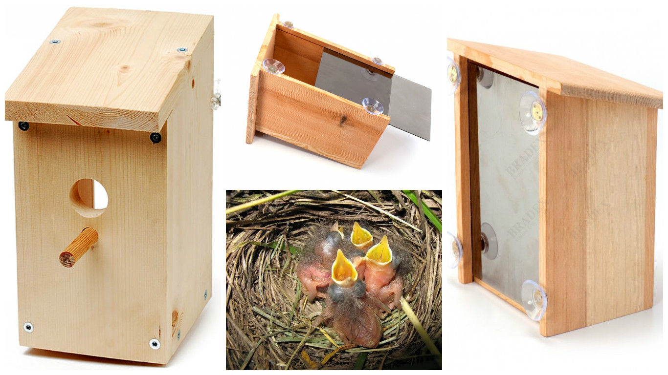 ���� �������. ����-���������� � ����������. ����� �ģ�, ����� ������! ������ - �����, ����� - �������!