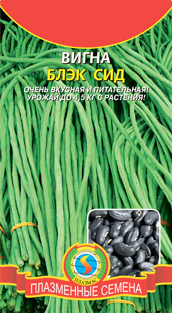 ���� �� 09.04. ���������� ������. ������ � ������ � ����� �������!-7. ��� ������ ��� � �������. ����� - ���� � �������!