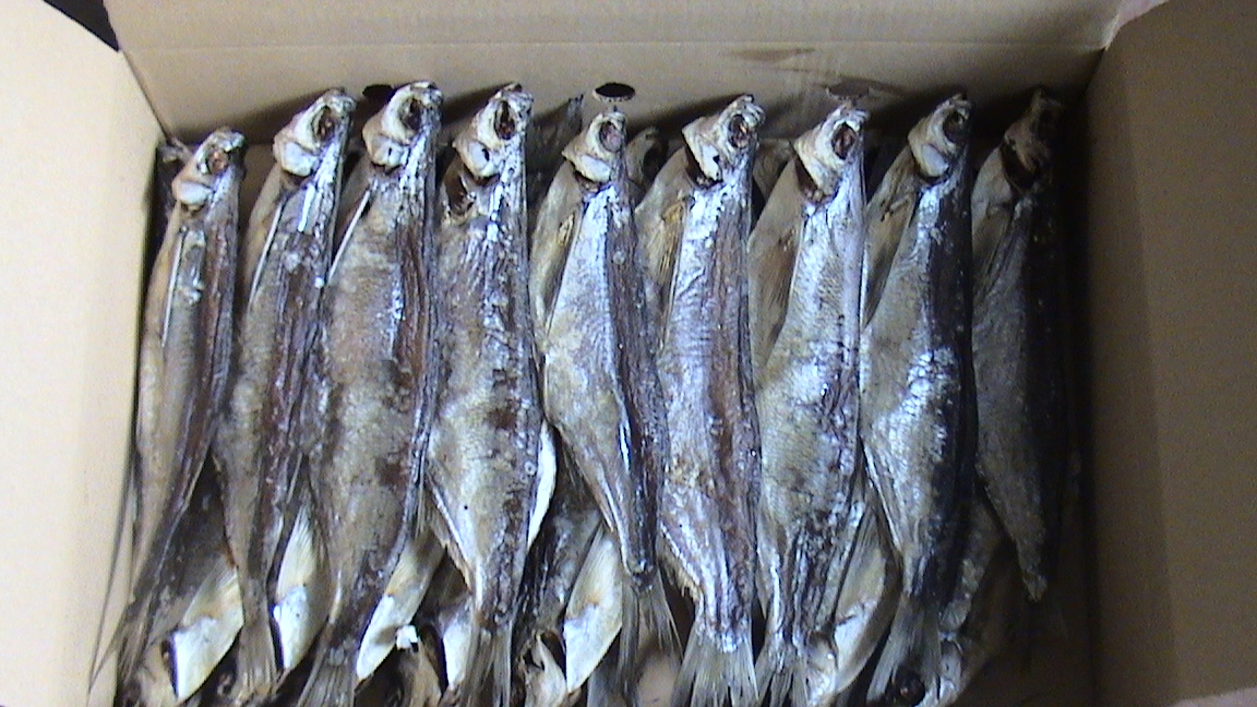 ����, ����