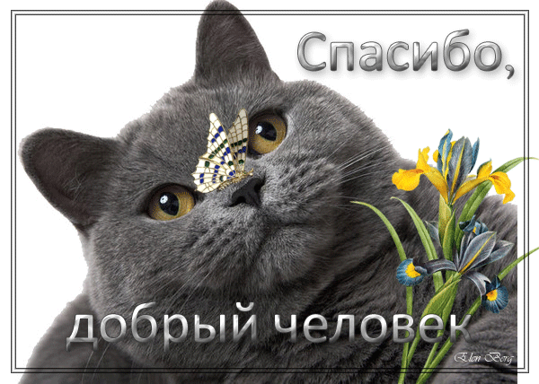 �������, ����� �������� ��������, ��� �� ����������� ������ ��� ��� ������� ����� ������. 