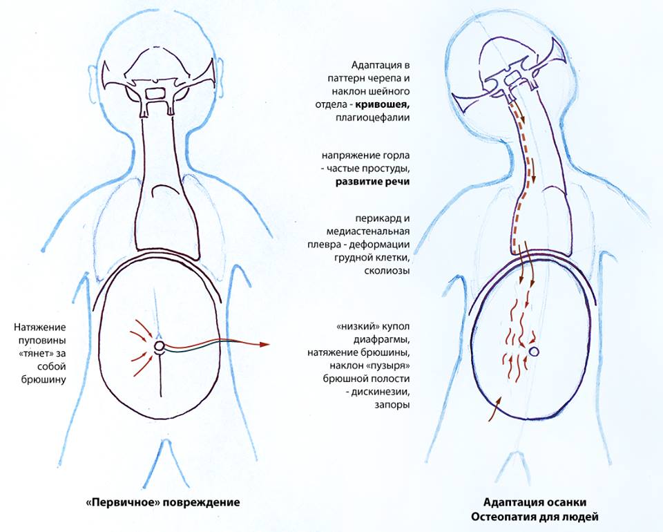 ��������. 