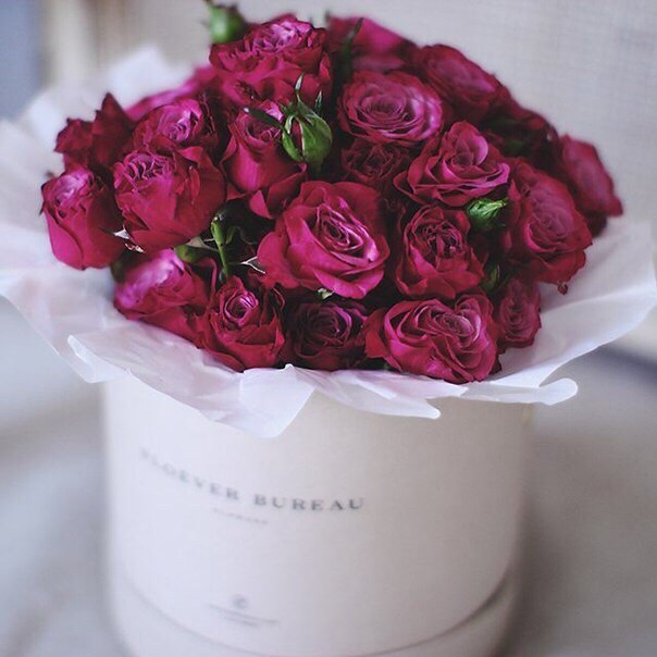 �������. ��������� �� �������  SilverAngel. ��������  ��������. 03. ��� ��. 