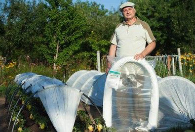 ���� �� 23 ������ . ���� ������ "��@����@����" ��������� ������� ��� �������� 7