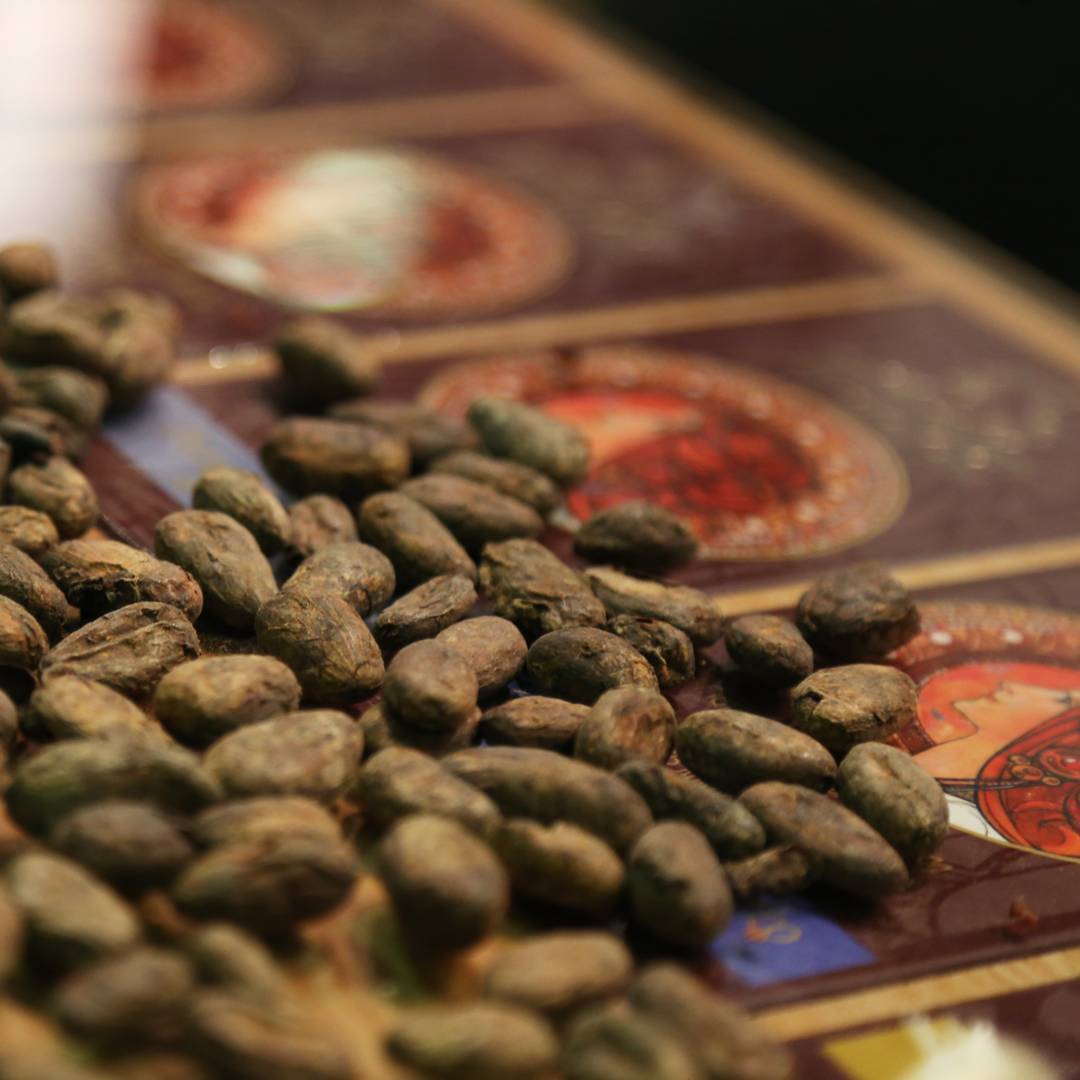 [b]���� �������. Kudvic - ����������� ����������� ������� �� ����� ����� �� ����� ����. ����� ���� ������ Criollo � Trinitario. ���� 1.[/b]