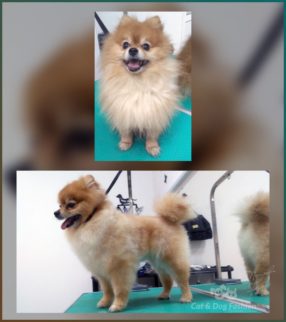 ��������� �������.