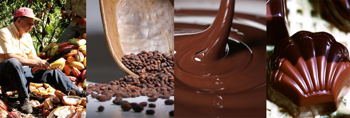 [b]���� �������. Casa Luker - ������������ ������. �������, ����������� ���� �� ڣ��� ����� Fino de aroma. ���� 1.[/b]