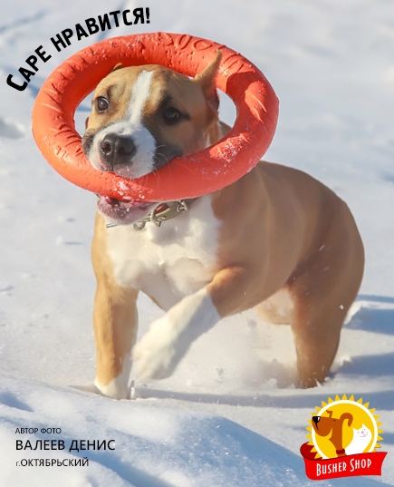 �������-������� ��� ����� � ��������������� ���������� �� ���������� �����..������ �������.������������ ������.�����-2