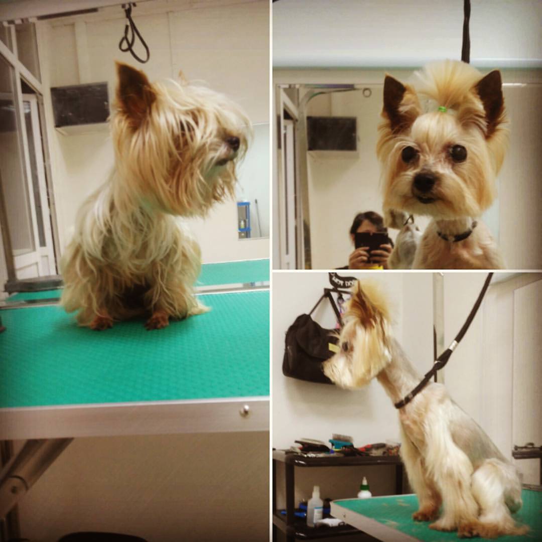 ��������� �������