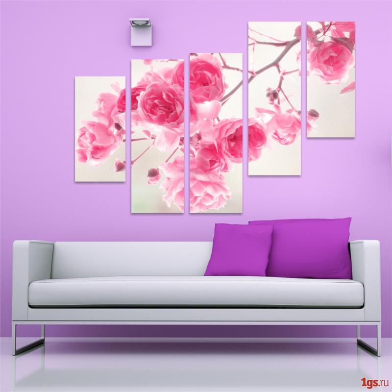 ���� �������. ��������� �������, ������� � ������, ��������.  ������ �������� � ��������!