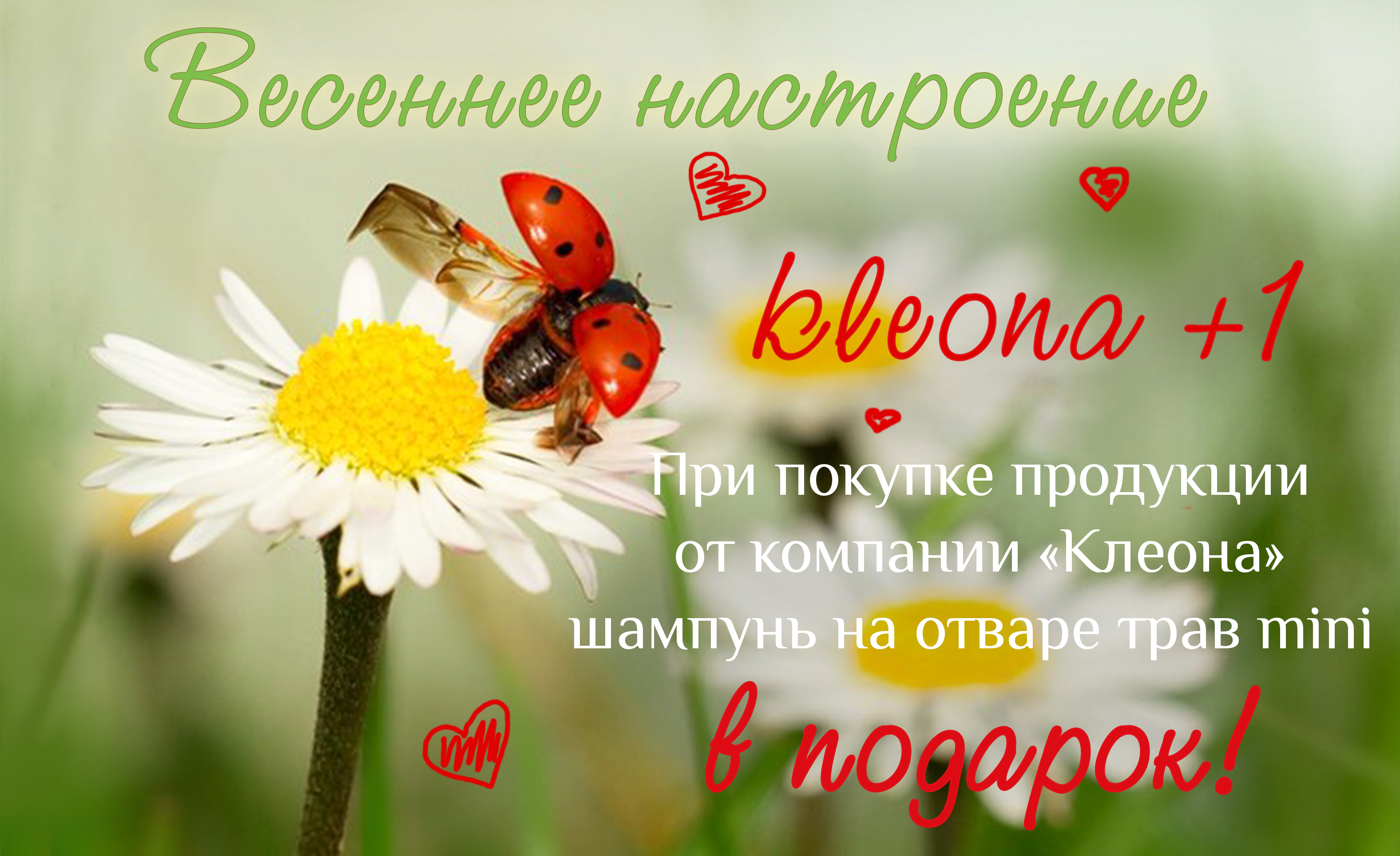 Kle*on� - ��� ���� ����� �������! �������! �������! ���� - 5