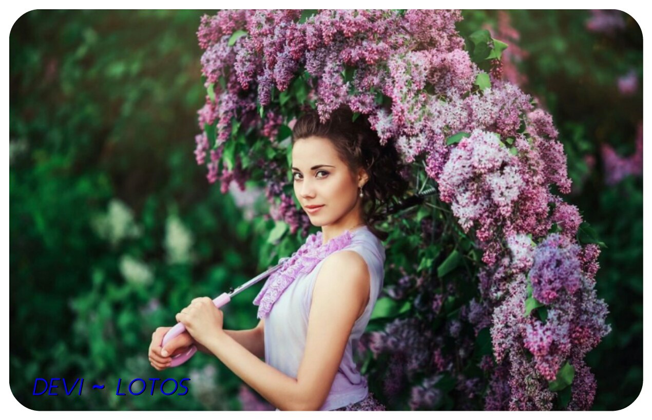 ��� ���������� � ���������� ��������