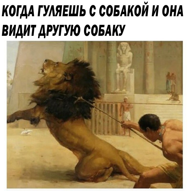 �����