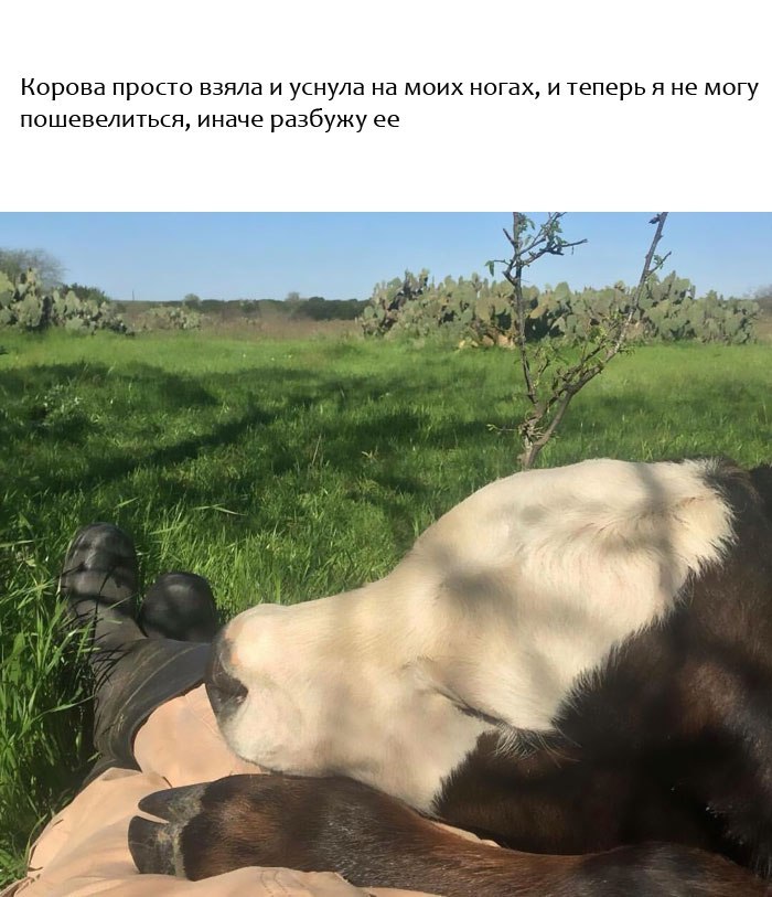 ������� ����