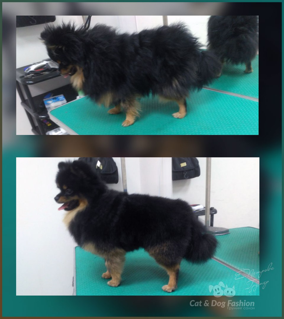 ��������� �������