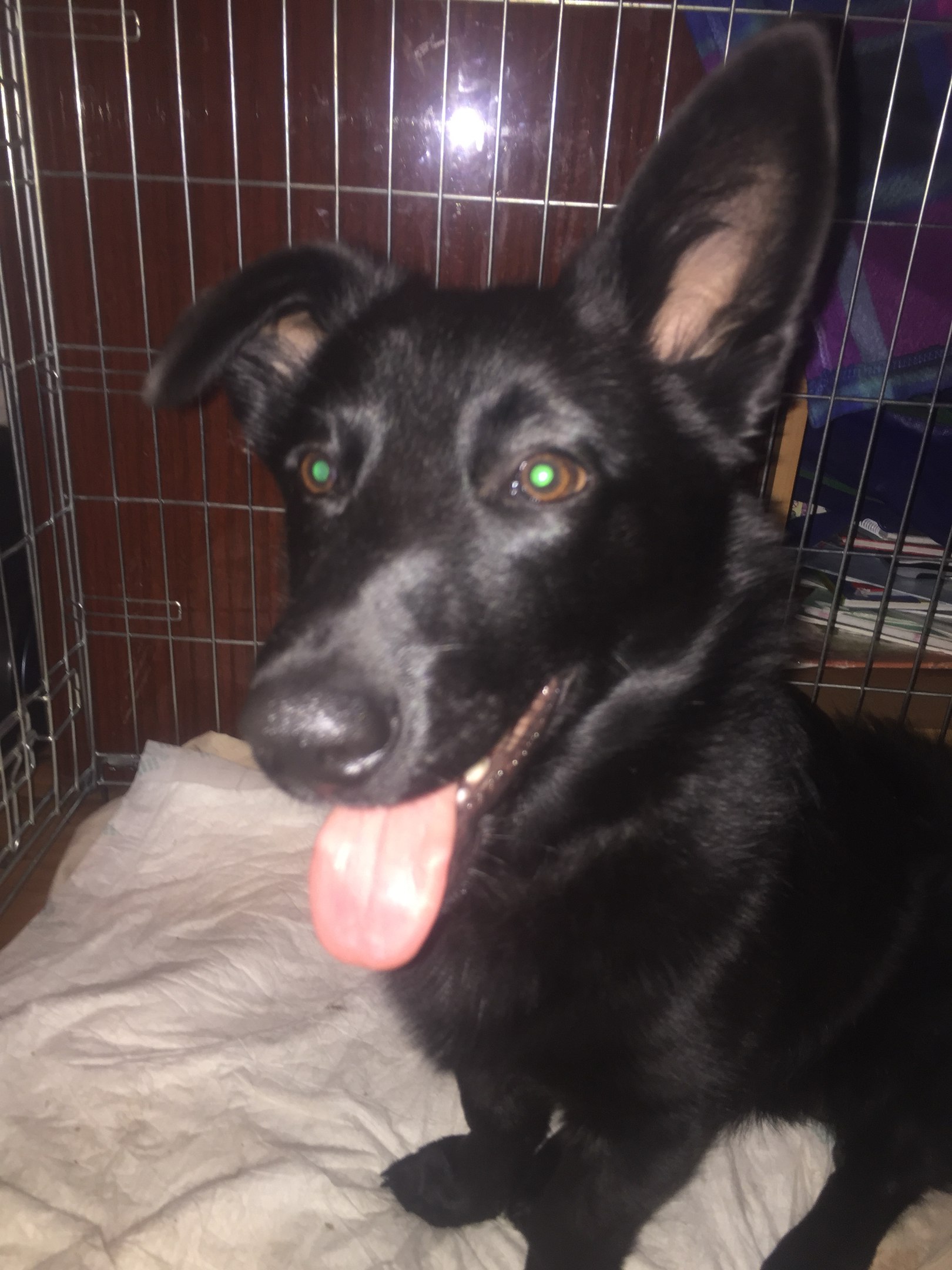 ... ����� ��� ���� ���� �����