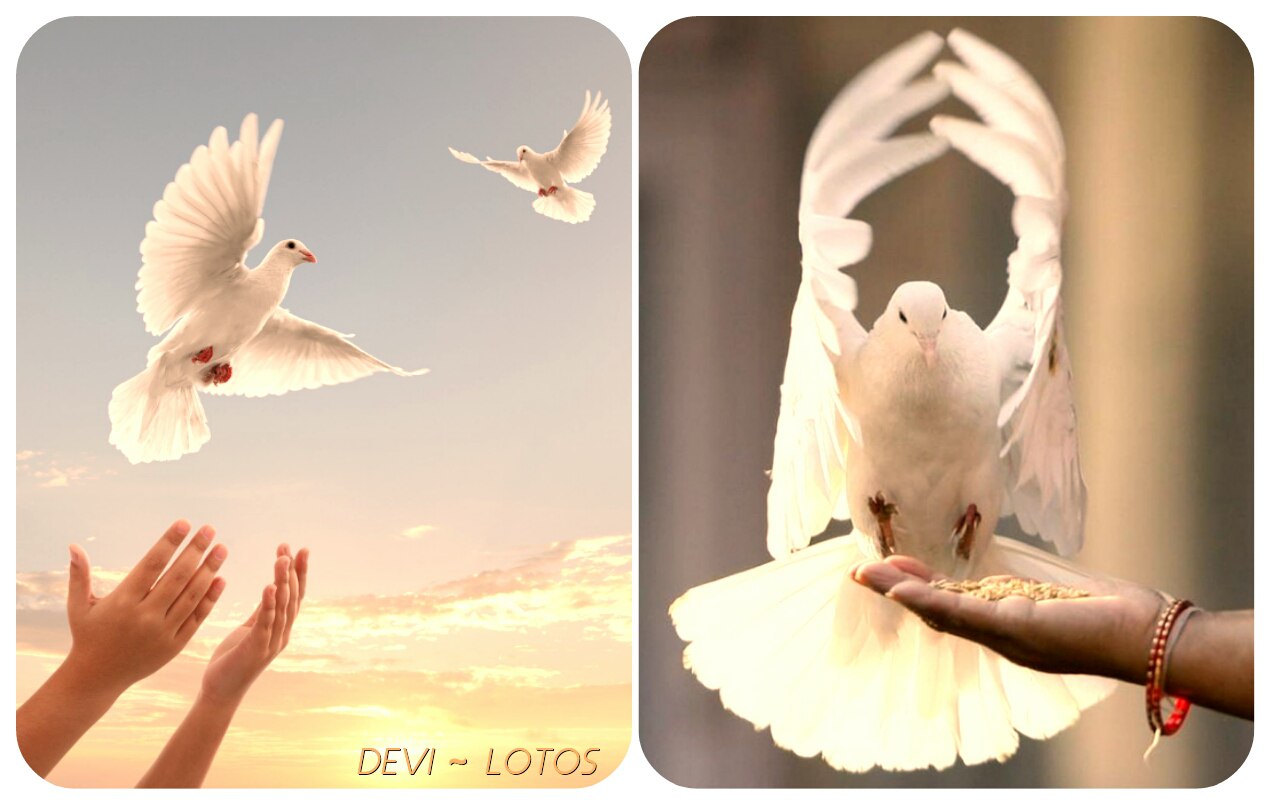 ���� ���� ��������� ������...