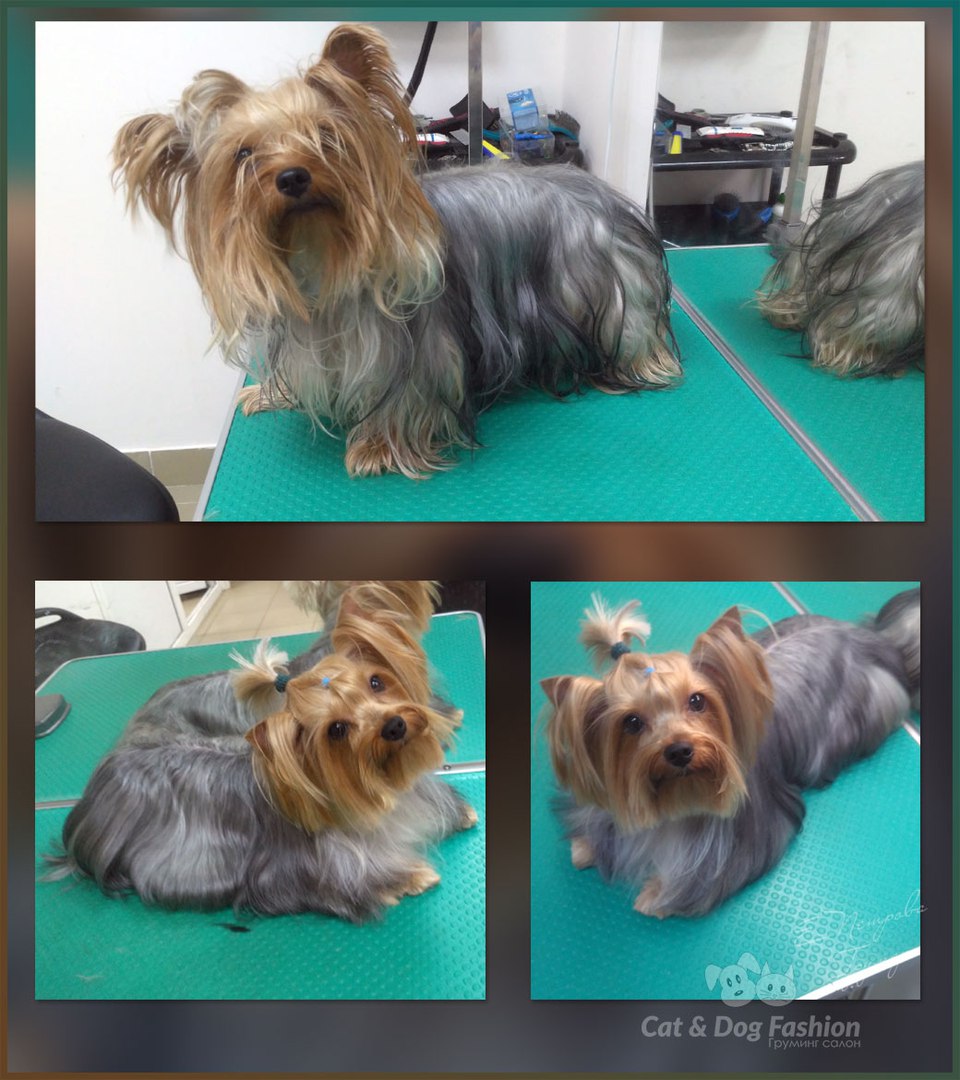 �������-����������