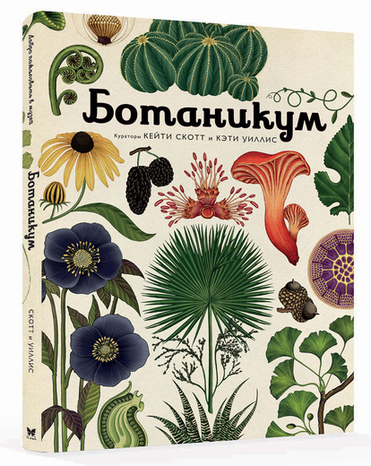 ���� �������. ����� ���������� � ��������� ��� ���� ������������ m*achaon! ��������� ����� �������. ����� 3