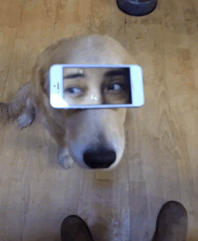 ��� ������ �����