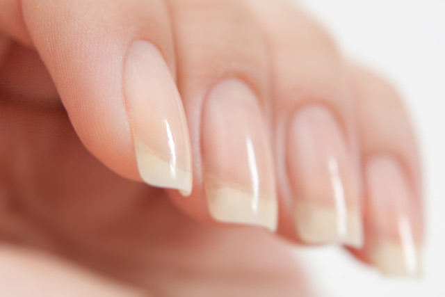 ���� �������. ���������� �������� ( Kalyon) ��� ������. �� ������ ������� ������ - 12.