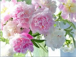 ������� �������. ���������. ����� - ��������� ���� ���� � ������������� �������. 2 �����. �� - 05.05