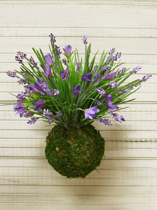 ��� ������������ �������� �������!