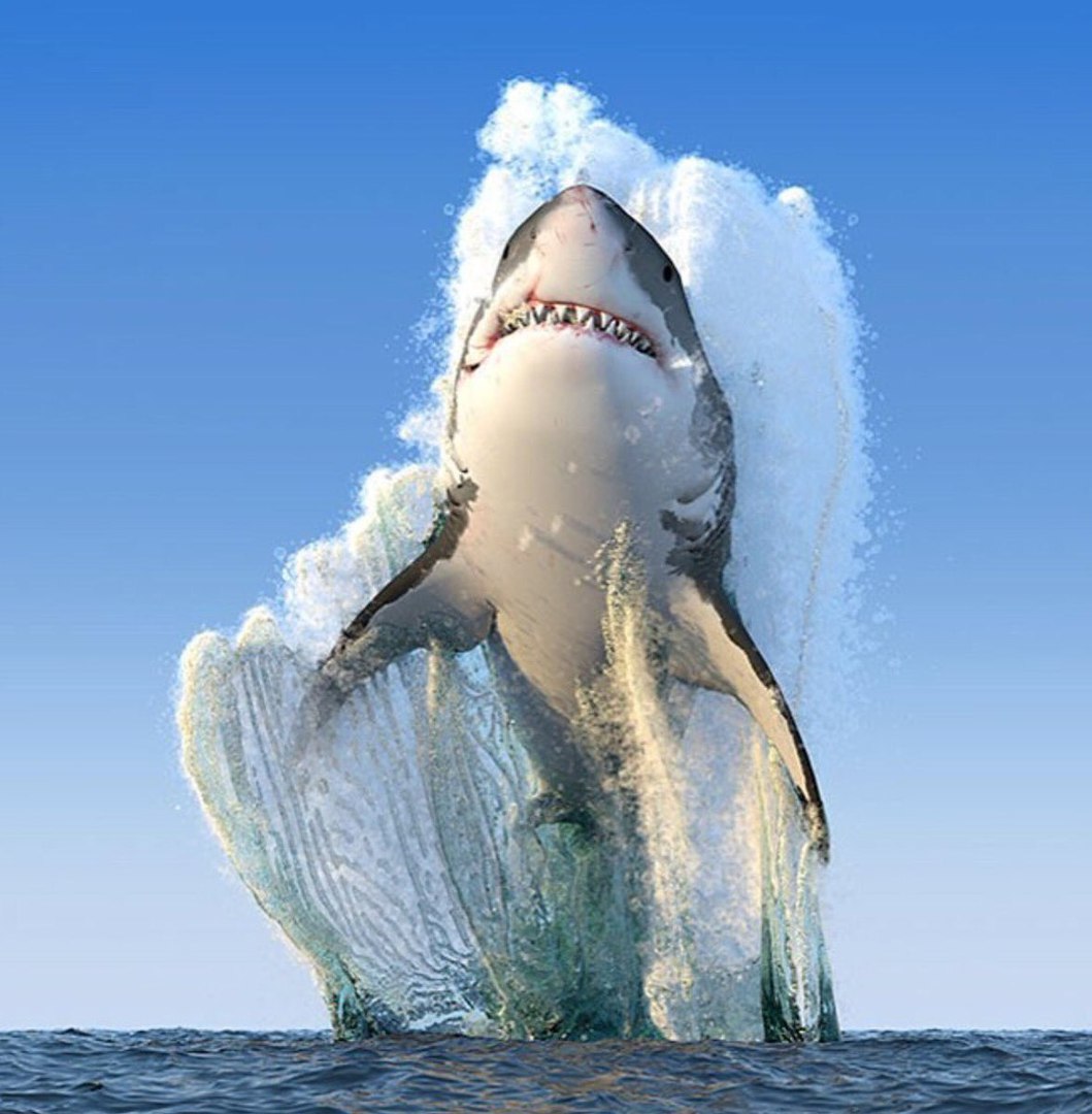 ������ ���� �� ������ National Geographic