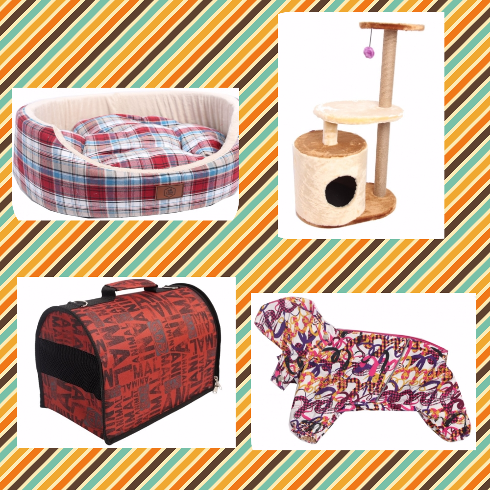 ���� �������. ���� ������� ���� ����� ������� � ���. ����������, �������, �����, �������, ��������, ����������, �������, ������� � �����, ������� � ��������, ���������, ������ � ����� ��� ����� ��������.