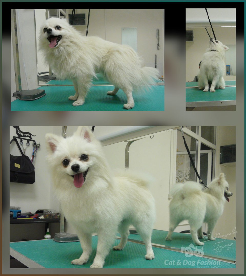 ���������� ������