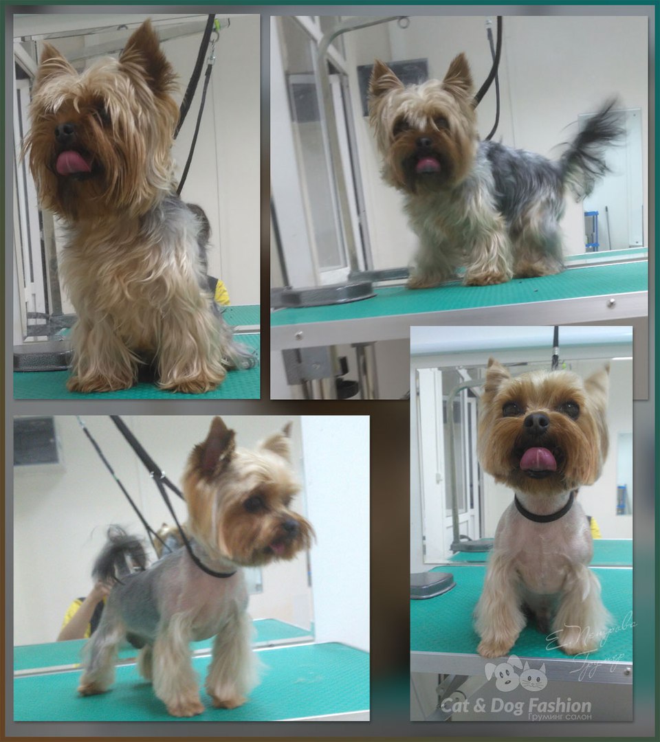 ��������� �������