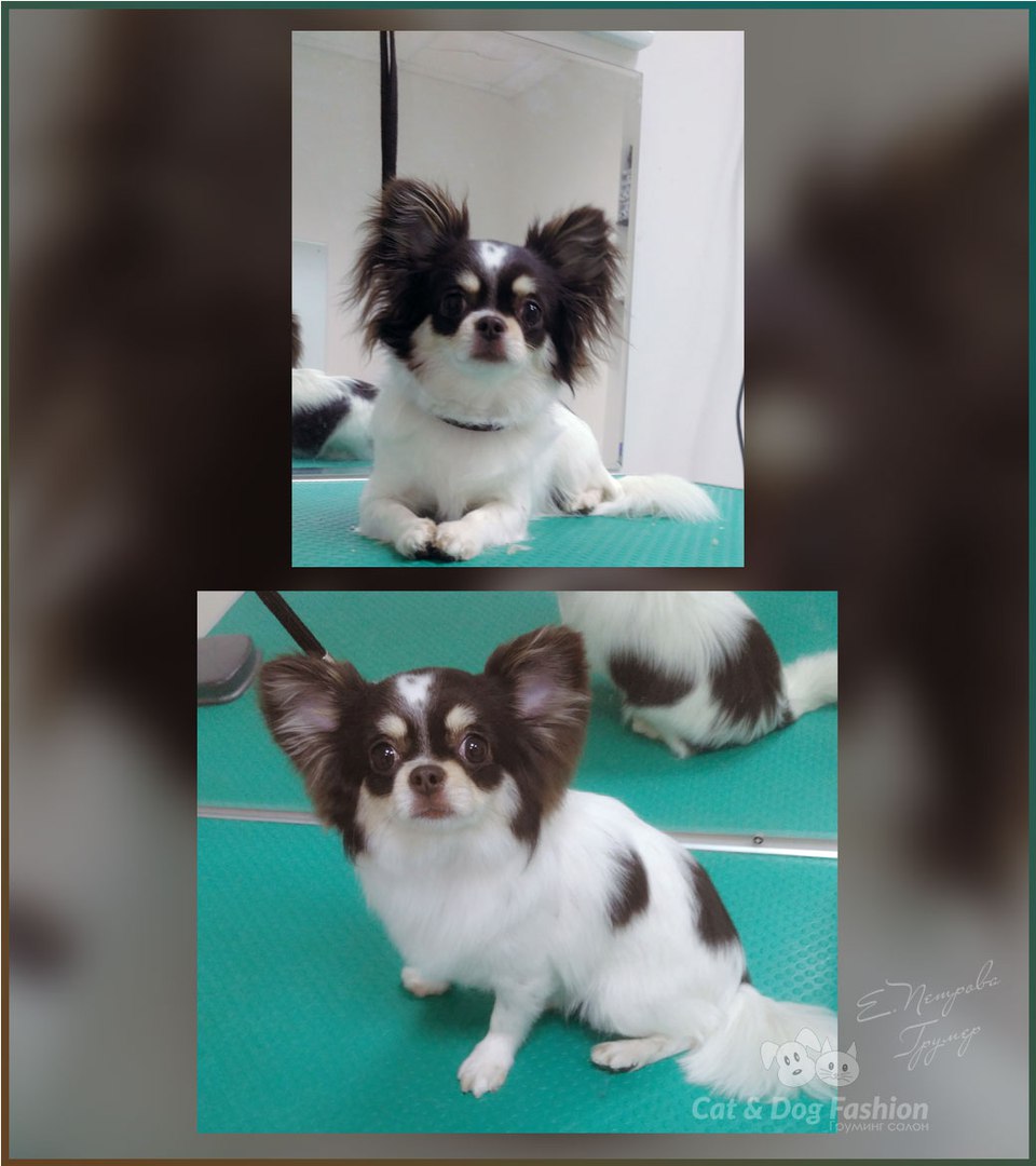 ��������� �������