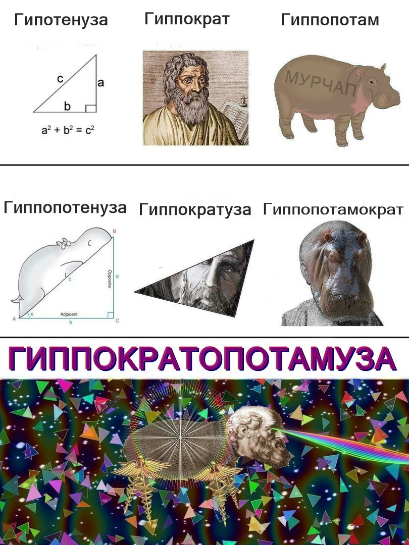 ������