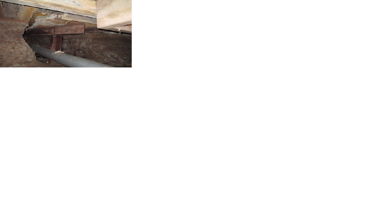 ������������ ������ ���� ����� ��������.