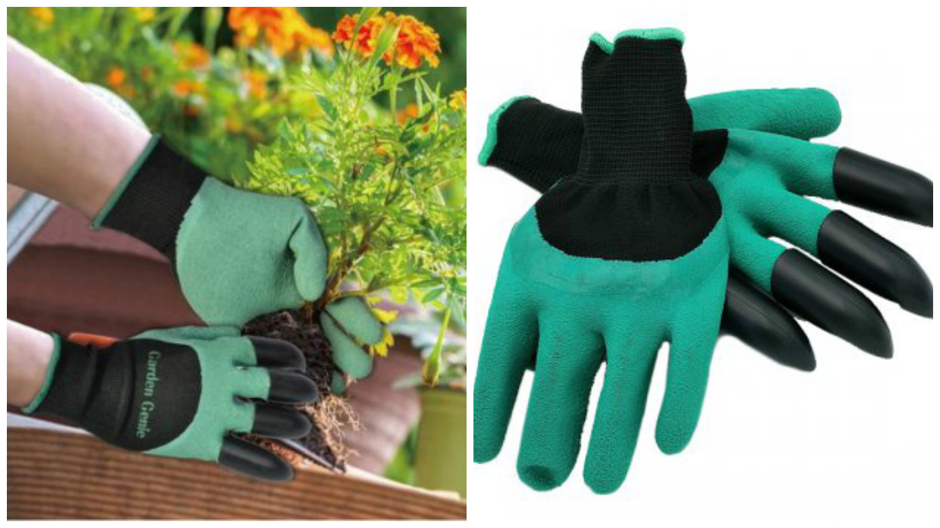 � ���� �������! �� ������� �������� �������� ������ �������� ���������, ��������� ���� �����.