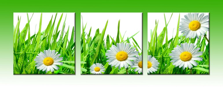 [b] ���� �� 18  ����. ��������� ������� �� ��������� ����������: �����, ������� [b]