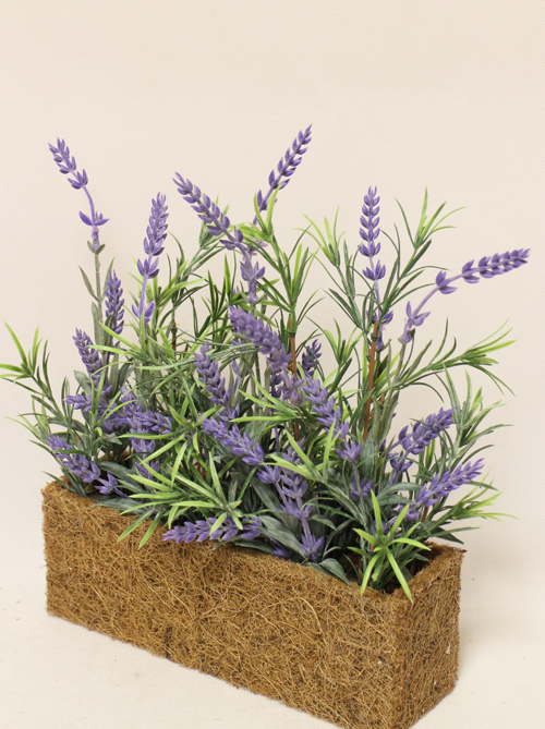 �������������� �������-�������, ���������� �������, ������� ��� ����� ������� �����!