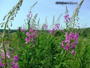 ���� �� 21.05. ��� � �������. ���, ���������� ����� �������� � ������� ����� ������!