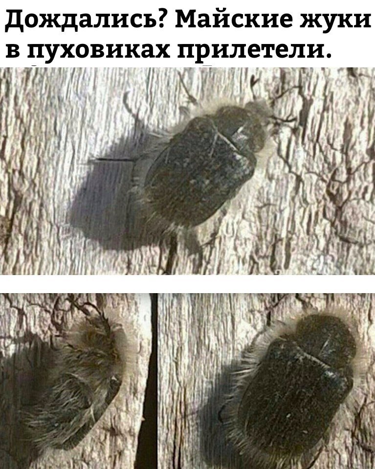 �����