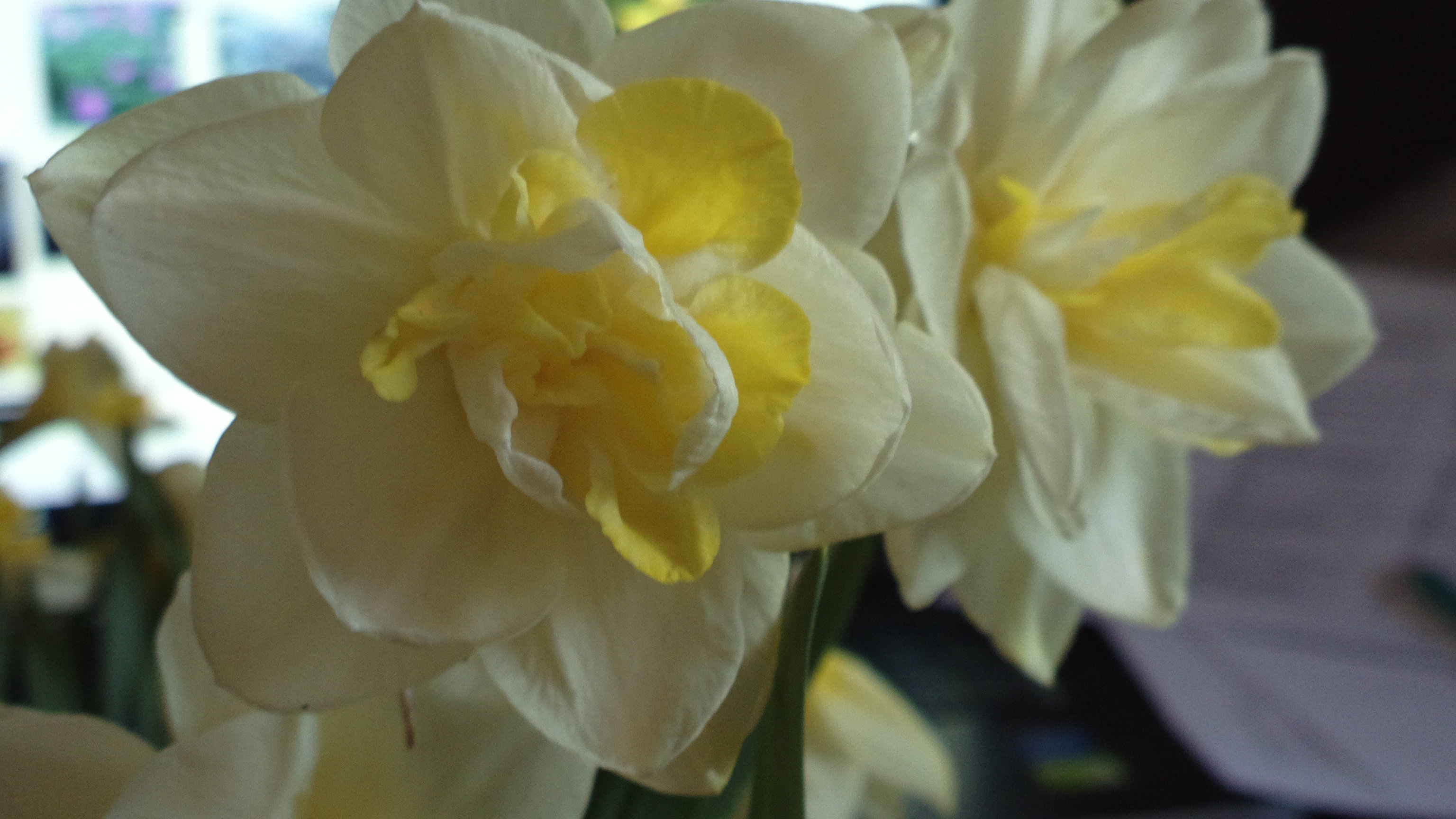 ��������