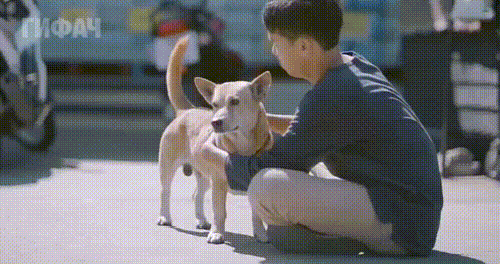 ������ ���������� ��������� ������� ��� ����� �������