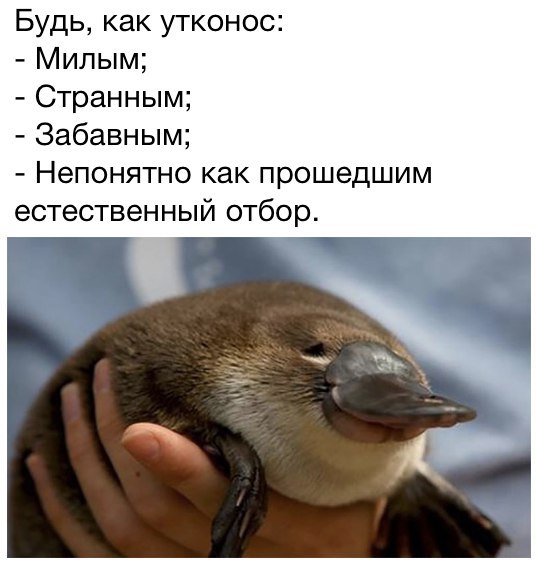 �����
